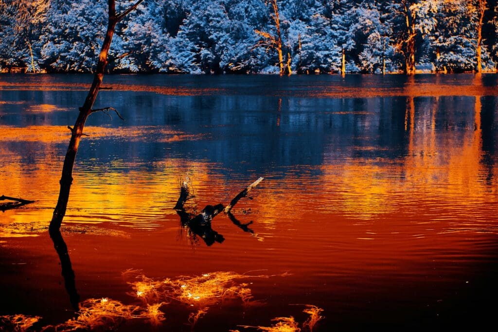 silhouette of a person riding a horse on a lake during sunset