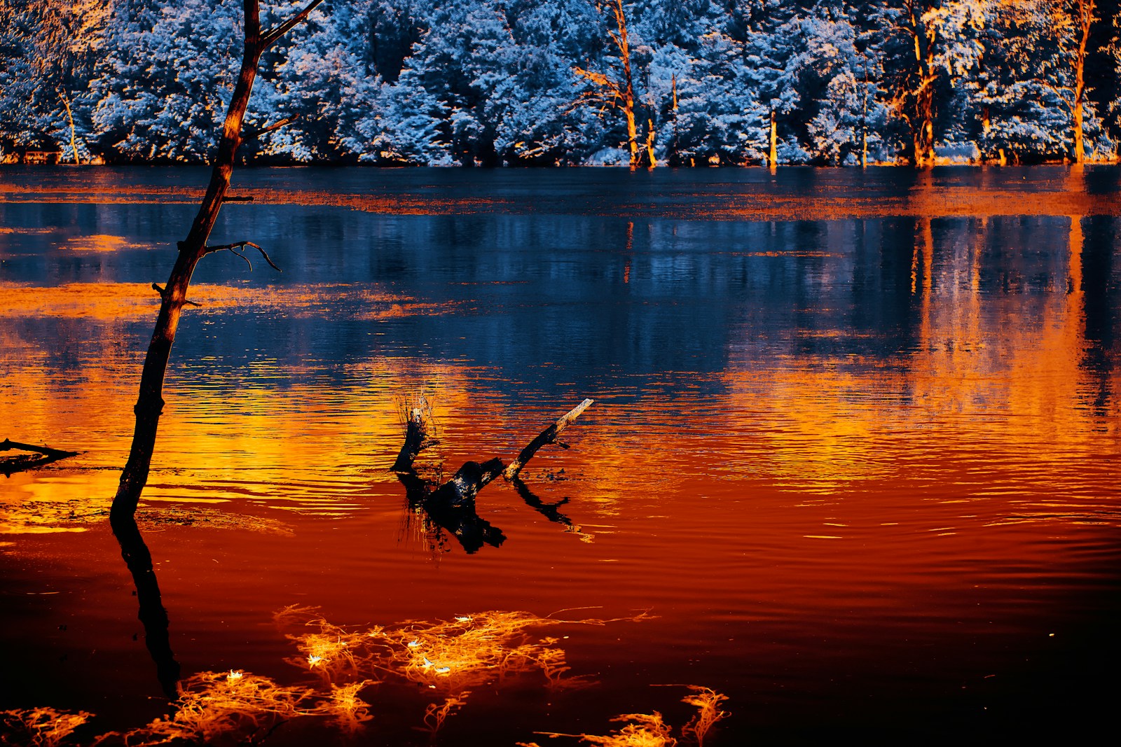 silhouette of a person riding a horse on a lake during sunset