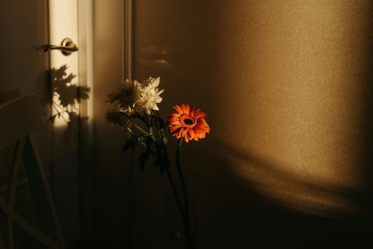 polina-kuzovkova-XTUbHjGlReA-unsplash