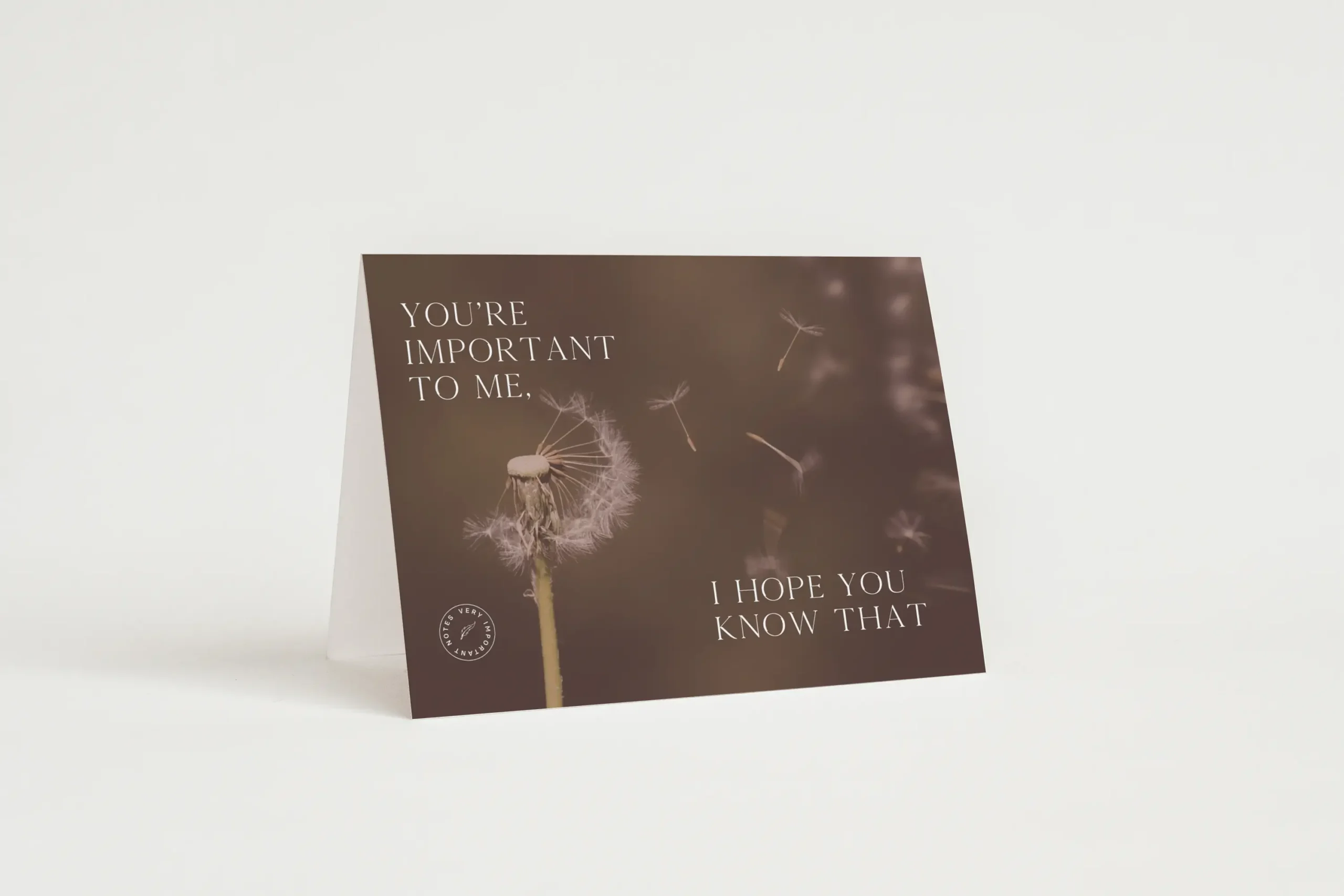 VIN_A5_TENT_FOLD_CARD_NEW_10