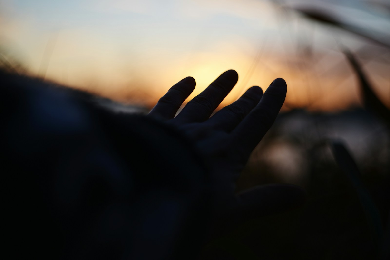 Silhouette of a hand reaching towards the sunset